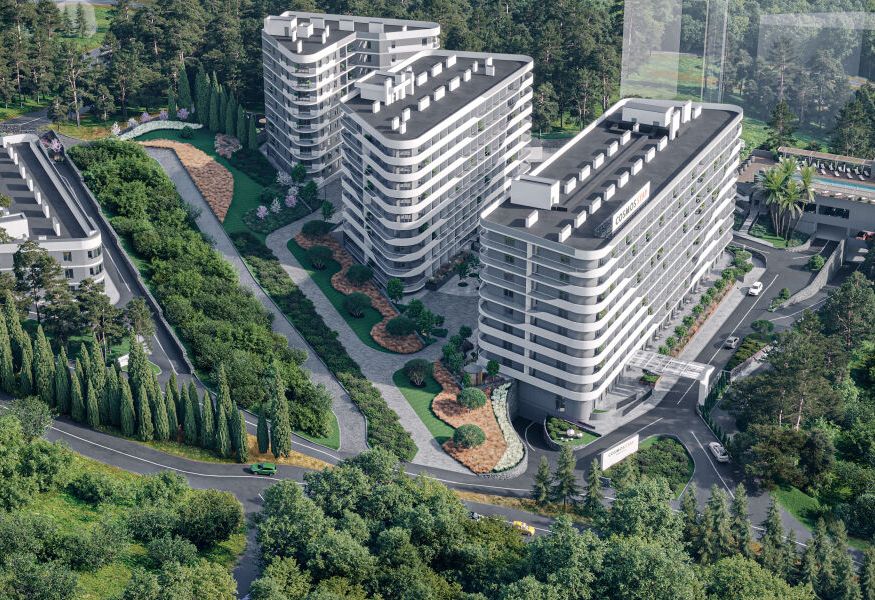 Cosmos Stay Hidden Yalta