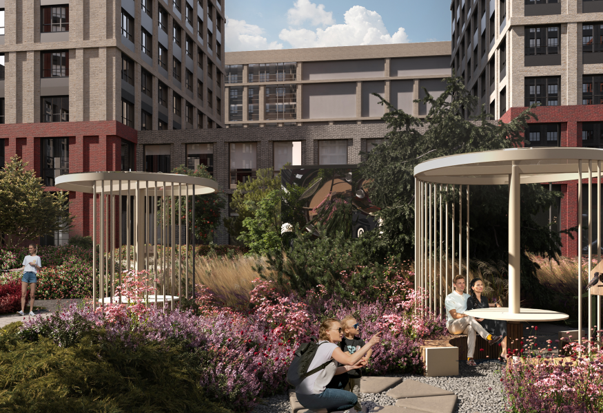 Атлас Визион